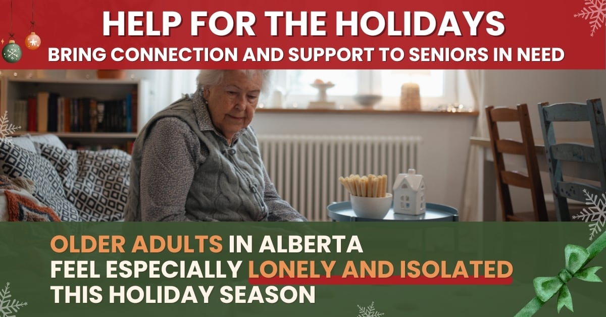 help for the holidays to seniors
