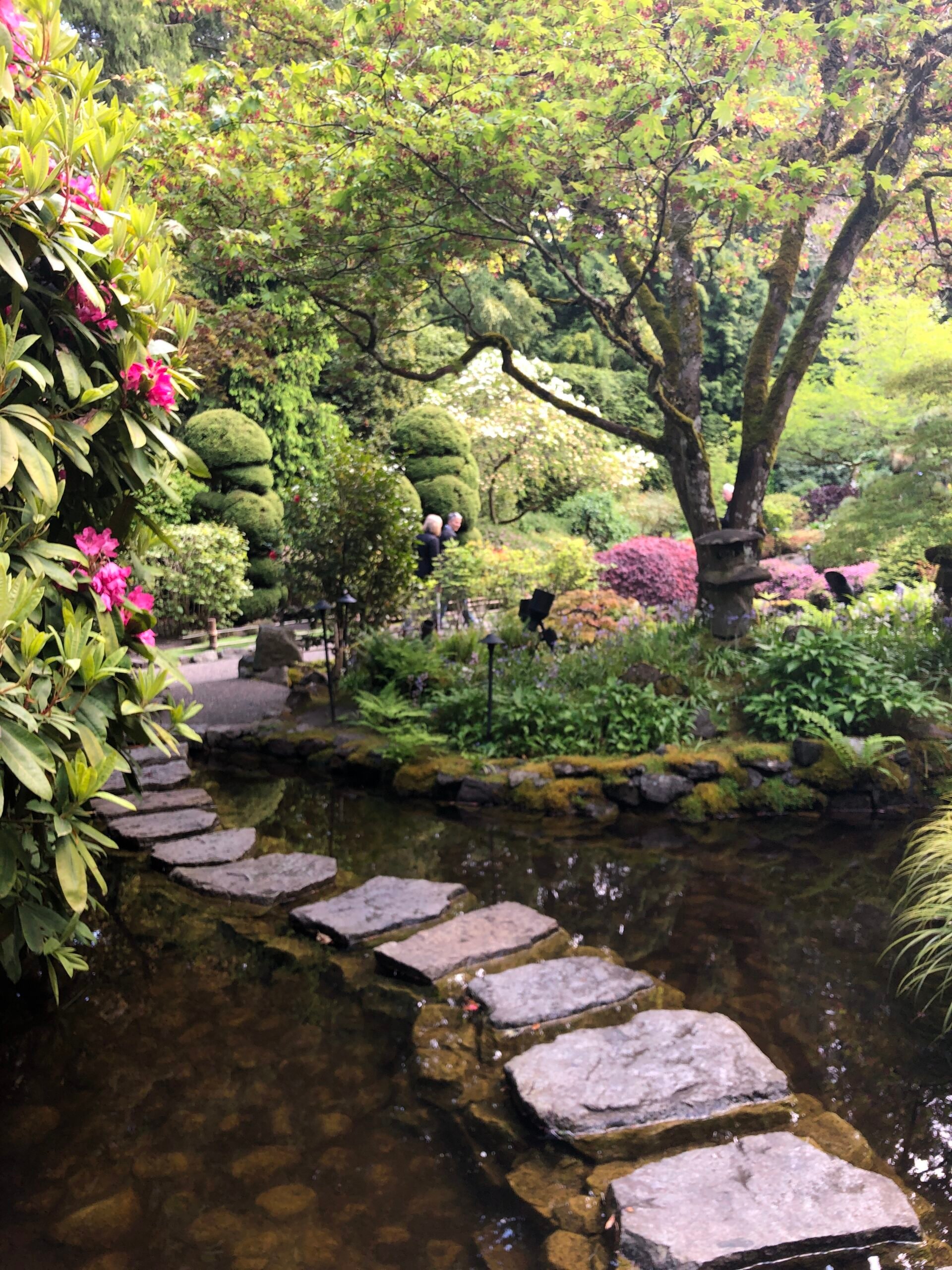 Japanese-Garden-BG-2022-scaled