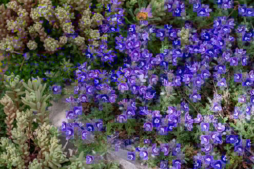 Veronica Whitleyi 6x4-Deborah Maier10