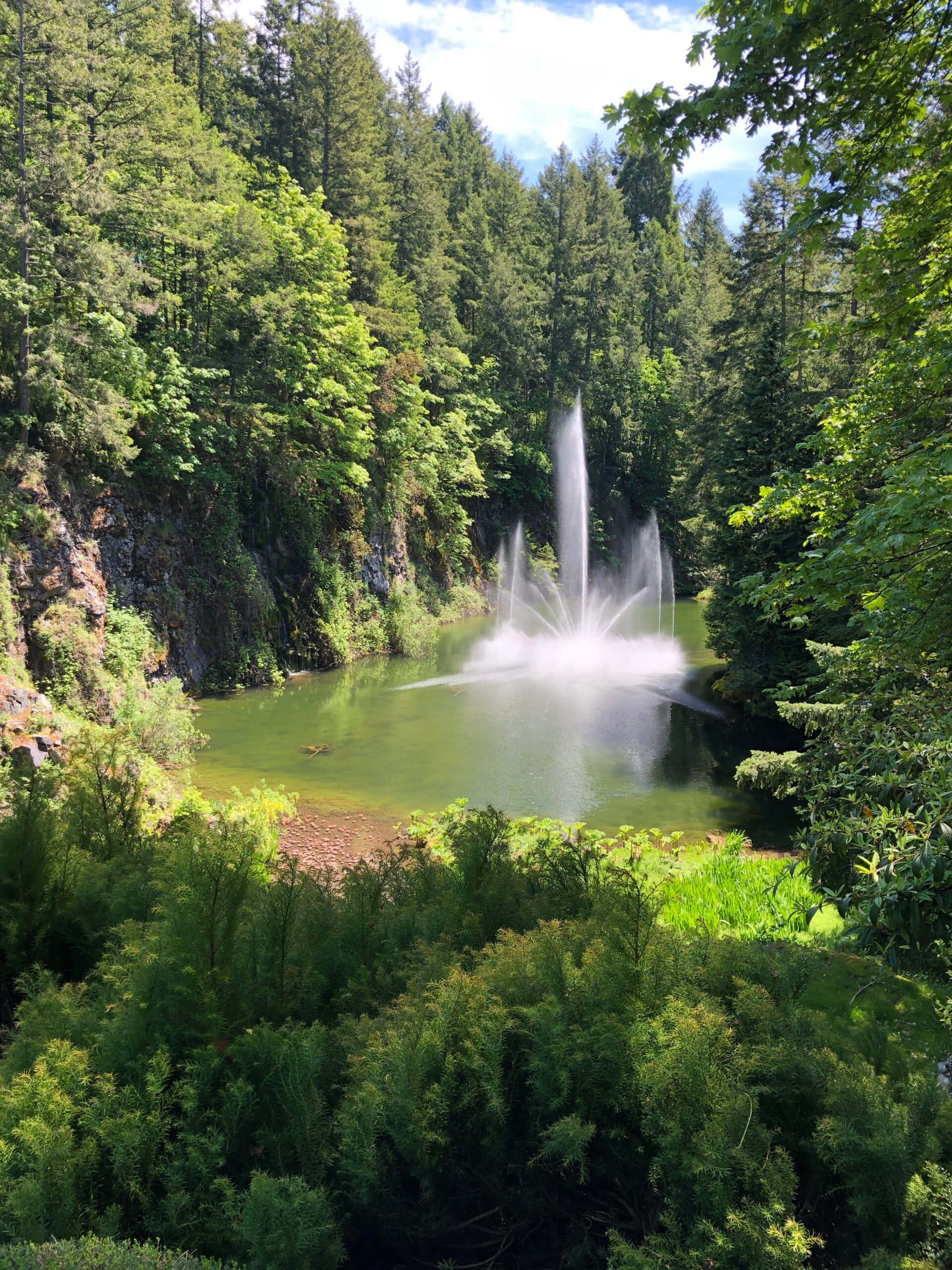 Water-Fountain-BG-2022-scaled