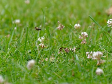 koa-link-7E-VHGj6G3k-unsplash