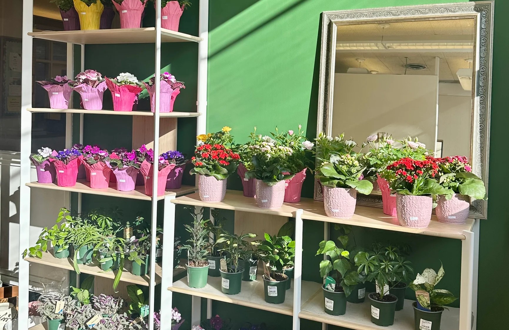 Garden Studio