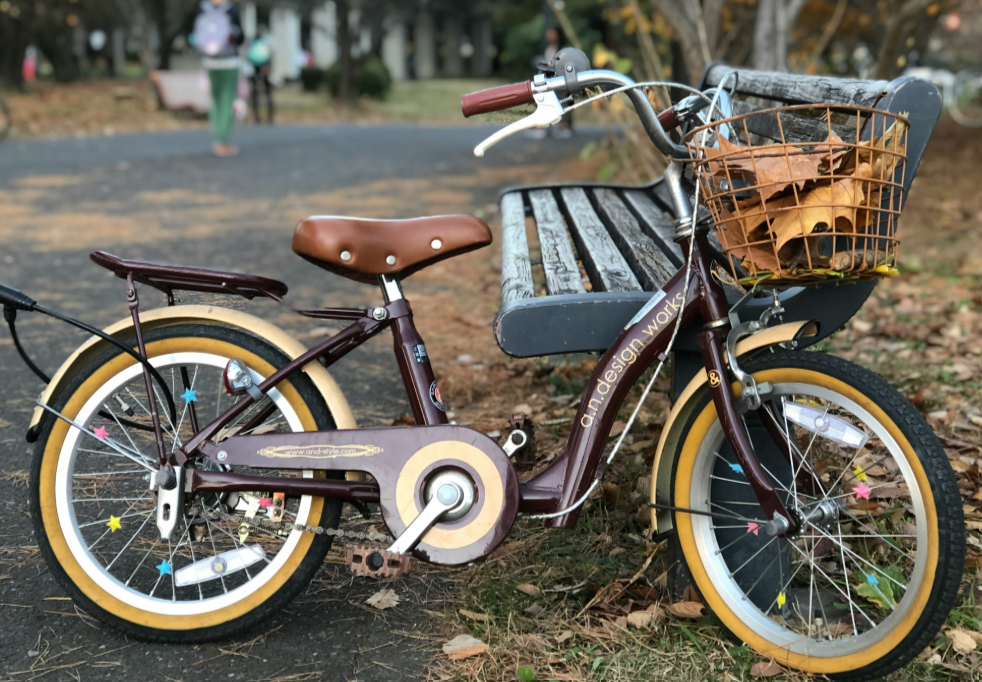 Rustic bike leaning on a bench
