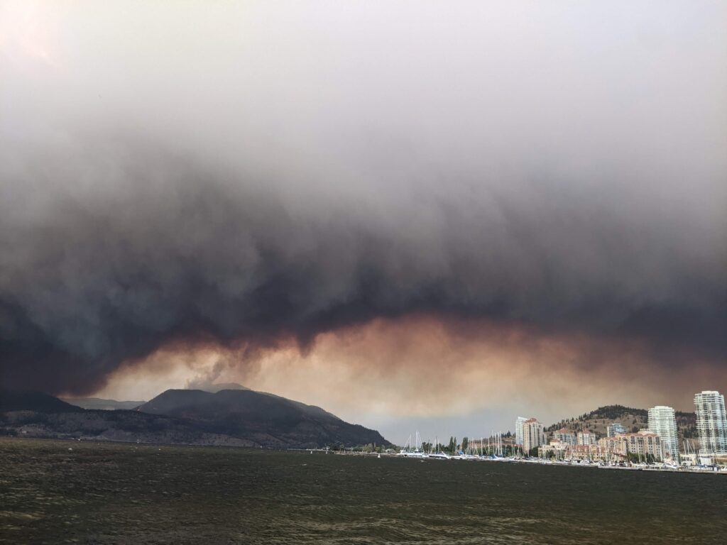 Fire, wildfire, smoke, health, asthma